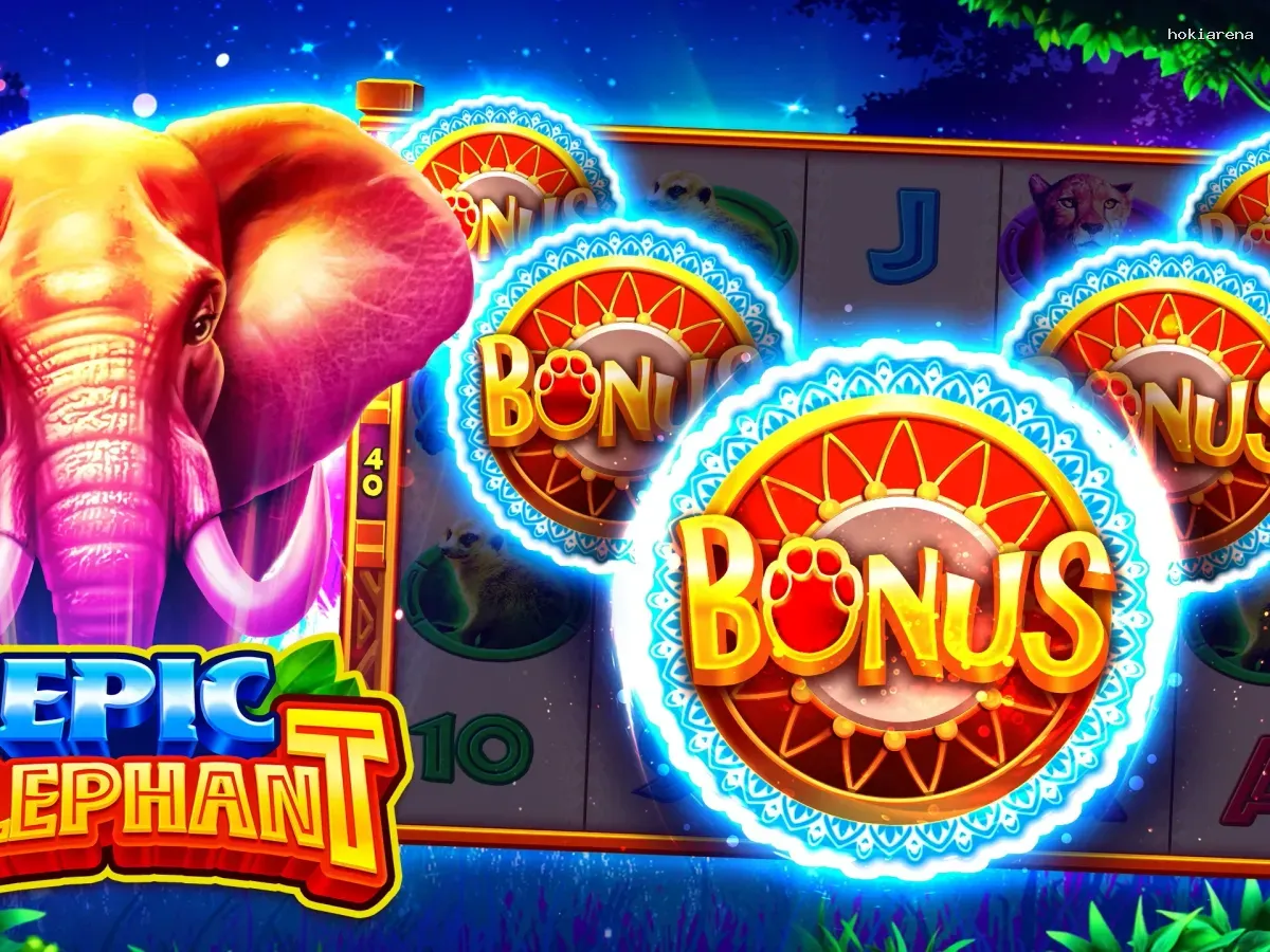 Akses hokiarena VIP Premium screenshot